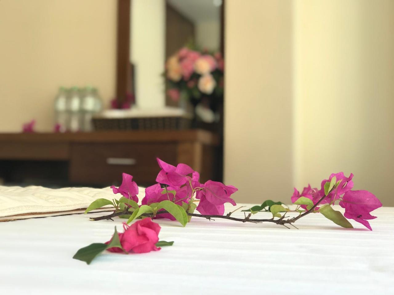 Ha Vy Hotel Cat Ba Island Esterno foto