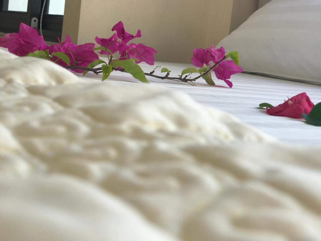 Ha Vy Hotel Cat Ba Island Esterno foto